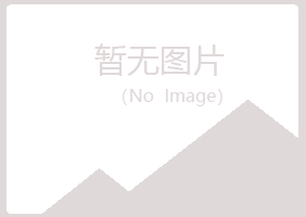 淄川区夏岚体育有限公司